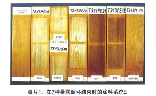 照片1：在7種暴露循環結束時的涂料系統E