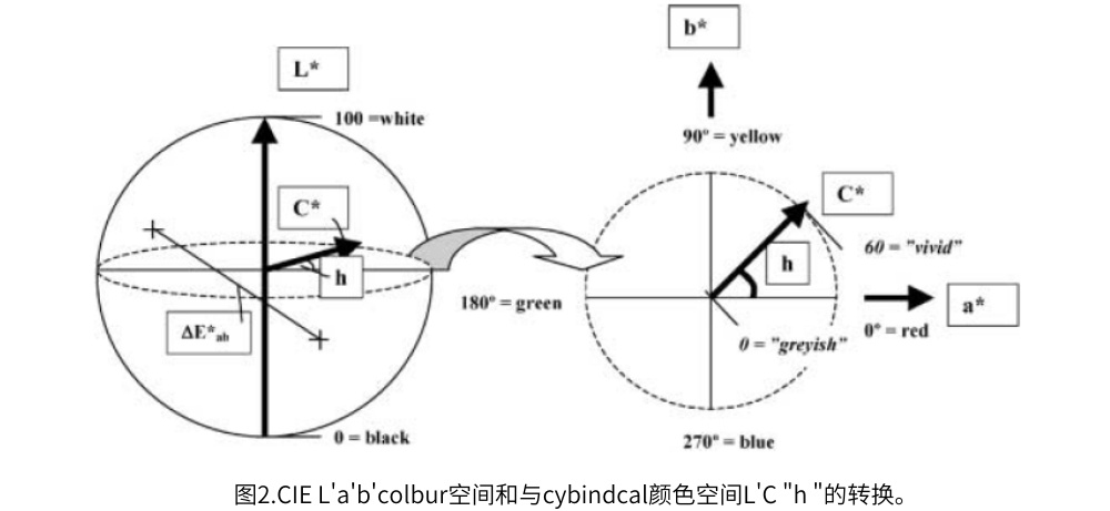 圖2.CIE L'a'b'colbur空間和與cybindcal顏色空間L'C "h "的轉換