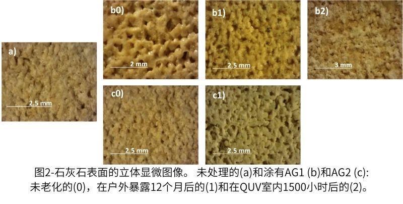 圖2石灰石表面的立體顯微圖像。 未處理的(a)和涂有AG1 (b)和AG2 (c)未老化的(0)，在戶外暴露12個月后的(1)和在QUV室內1500小時后的(2)。